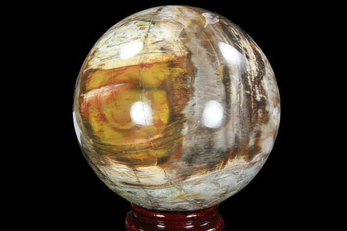 Colorful Petrified Wood Sphere - Madagascar #92398